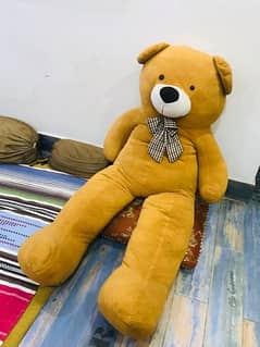 teddy bear 5fit