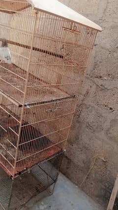 3 portion cage