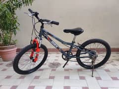 Imported Kids 20 Wheel Bicycle