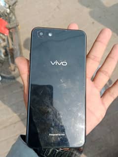 vivo