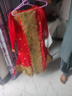 RED  colours lehnga