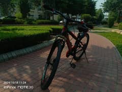 26 Inch Imported Cycle