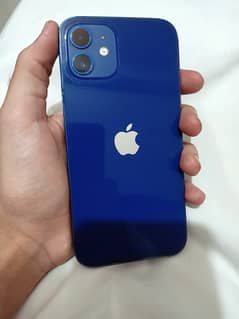 Apple I Phone 12