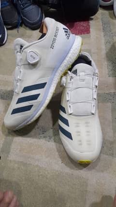 adidas cricket Grippers /trainers shoes