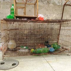 PARROTS cage