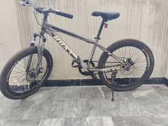 Roxy 24" Bicycle