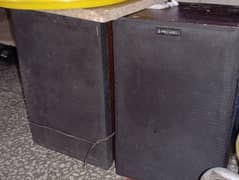 Amplifier speaker