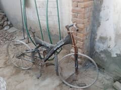 old cycle