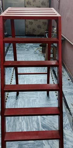 Industrial Gauge Heavy Duty Ladder