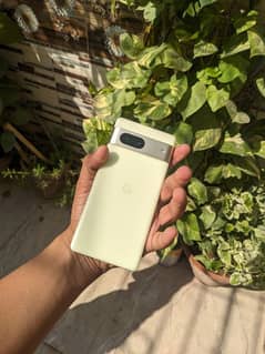 Google pixel 7 best camera phone