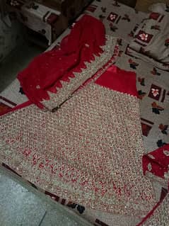 1day use bridle Red lehnga