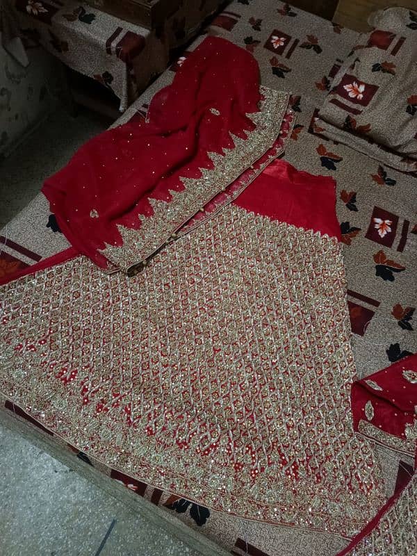 1day use bridle Red lehnga 0