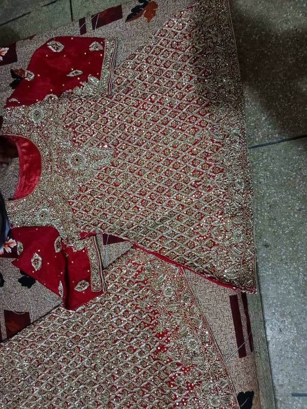 1day use bridle Red lehnga 1