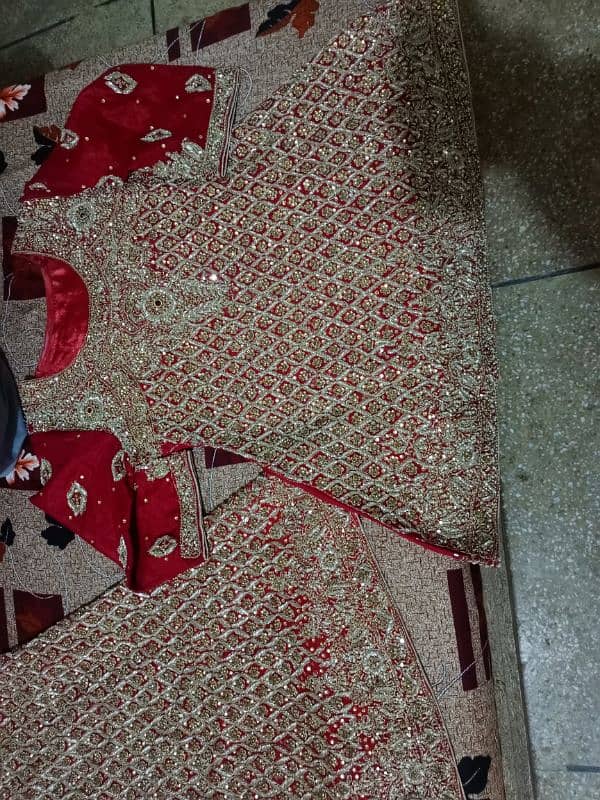 1day use bridle Red lehnga 2