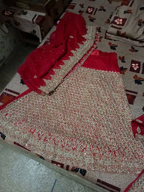 1day use bridle Red lehnga 3