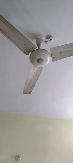 Cieling fans copper