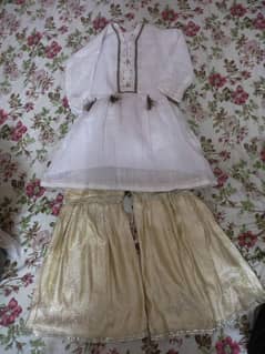 organza shirt with banarsi gharara