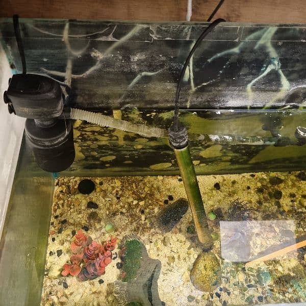 3 feet aquarium for sale with accessories and stand 2