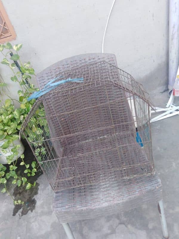 Birds used cage in good condition 1