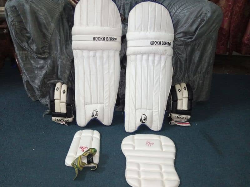 cricket kit 3