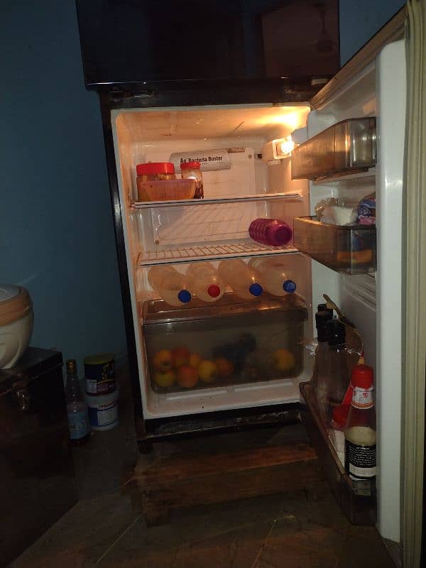 PEL Fridge 4