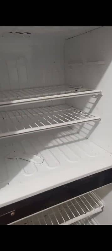 PEL-PRGD-2200 Glass door Refrigerator 10 CFT 3