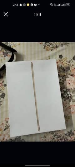 Apple ipad pro 12.9 Inch