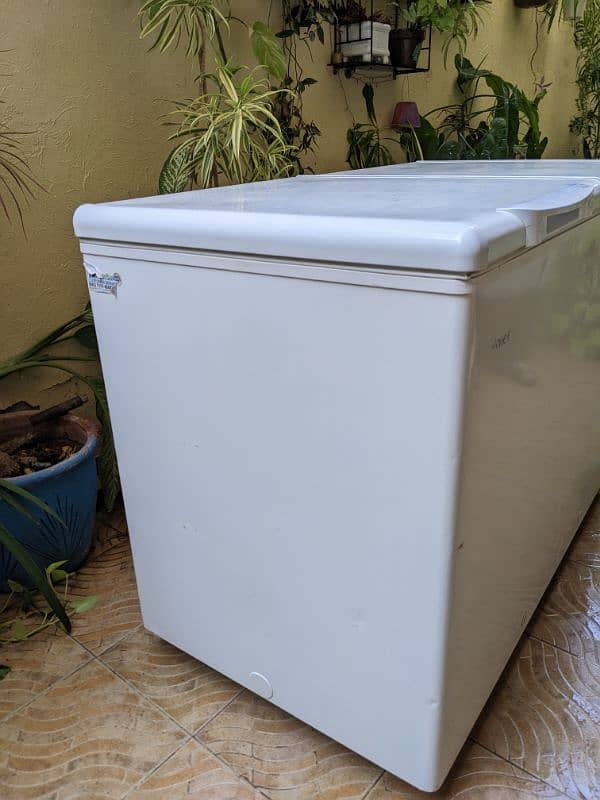 Haier 2 Door Freezer 2