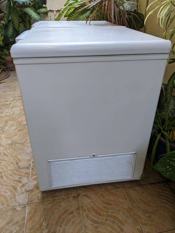 Haier 2 Door Freezer 4