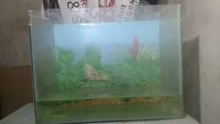 Fish Tank Aquarium in BIG SiZE