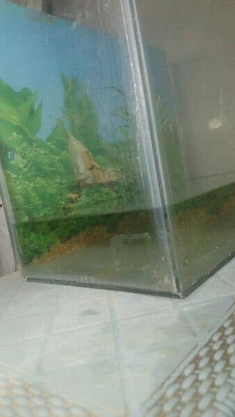 Fish Tank Aquarium in BIG SiZE 1