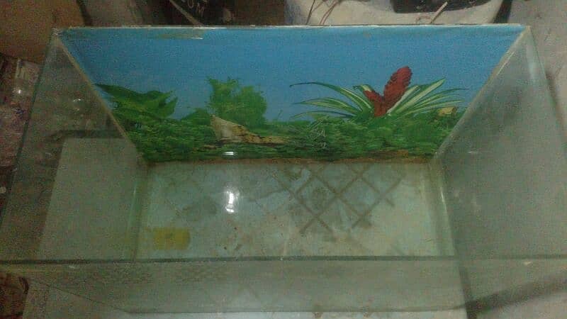 Fish Tank Aquarium in BIG SiZE 2