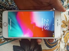 iphone6 plus non pta 16gb