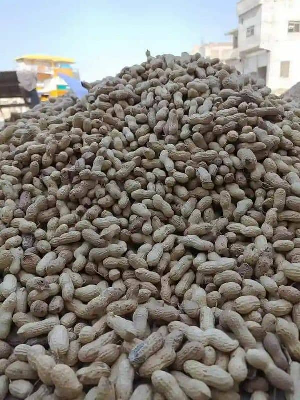 dry fruits Available whole sale delivery all Pakistan 3