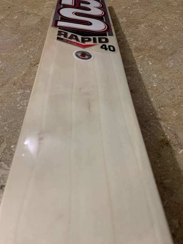 Hard ball bat Bs Rapid 40 7