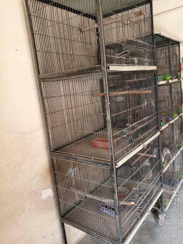 parrot Cage And new brooder 2