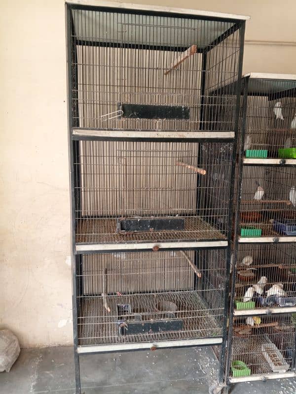 parrot Cage And new brooder 3