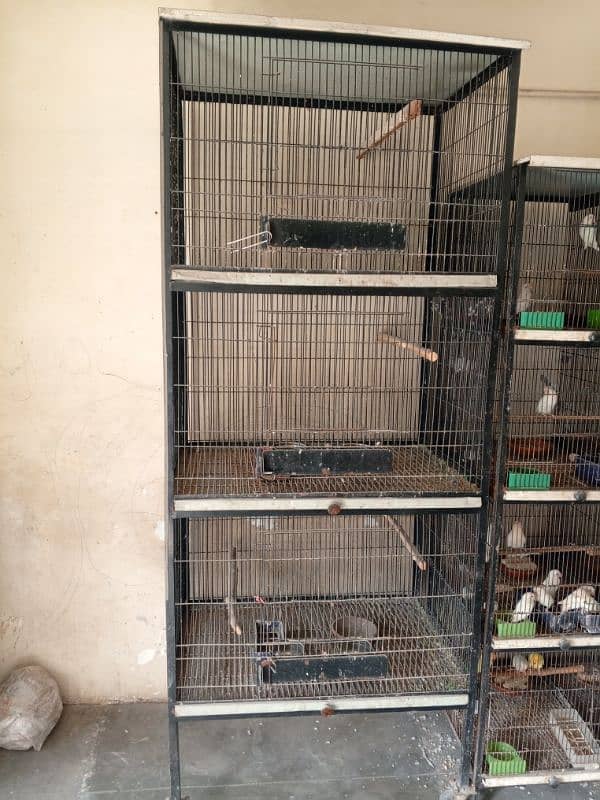 parrot Cage And new brooder 4