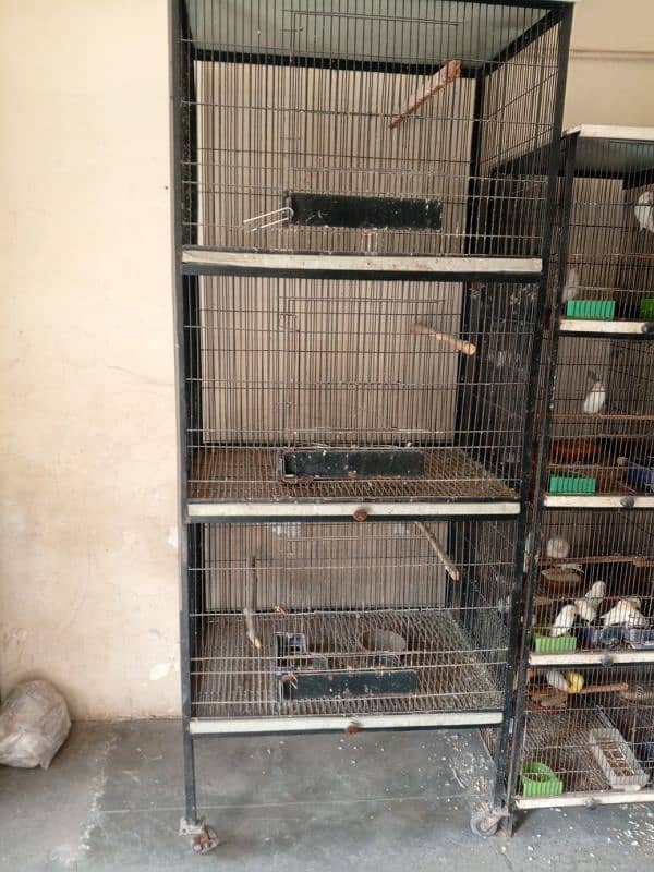 parrot Cage And new brooder 5