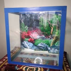 Fish Aquarium