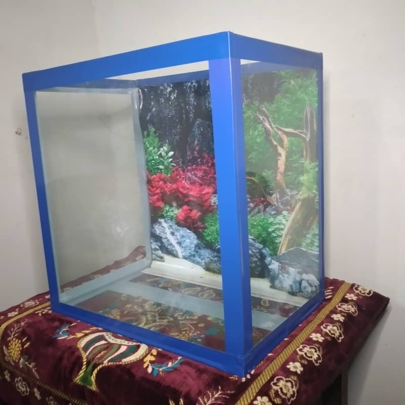 Fish Aquarium 1