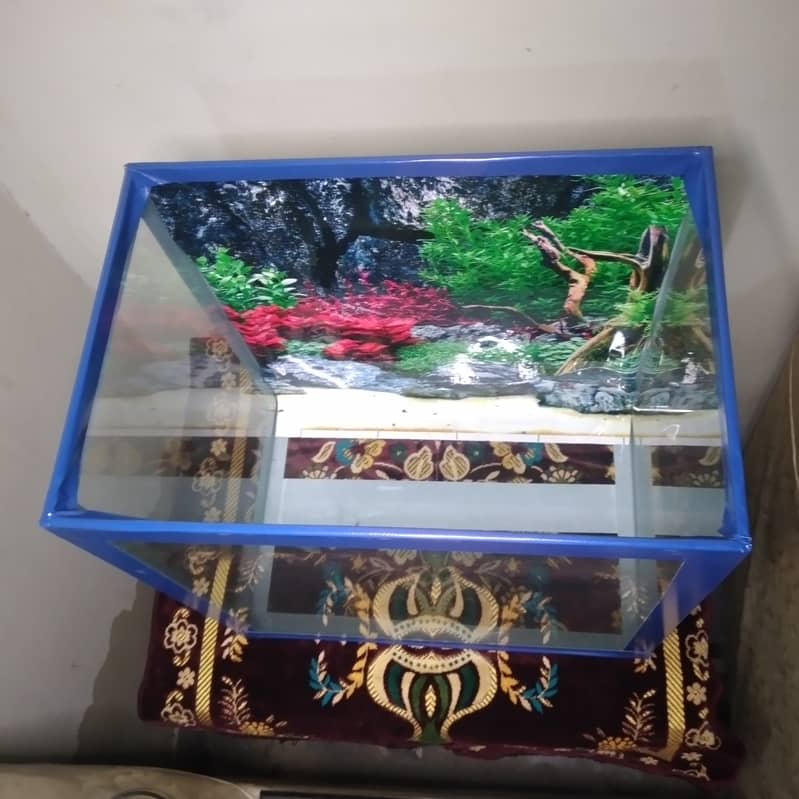 Fish Aquarium 3