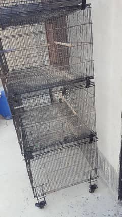 love bird cage/ Cages/ Cage /lovebird cages/ folding cage