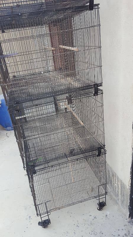 love bird cage/ Cages/ Cage /lovebird cages/ folding cage 0