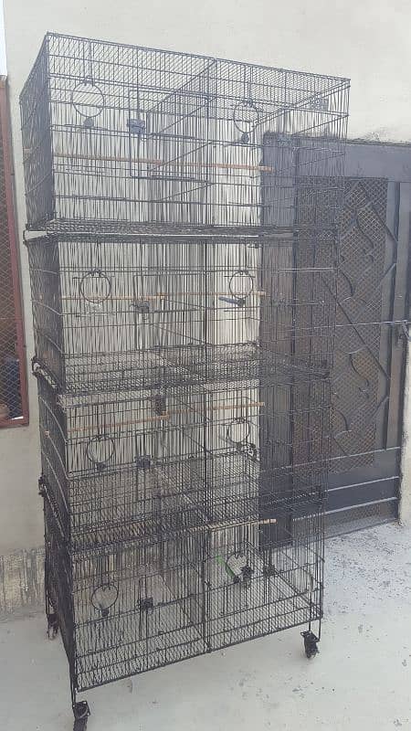 love bird cage/ Cages/ Cage /lovebird cages/ folding cage 3