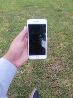 i phone 6 plus