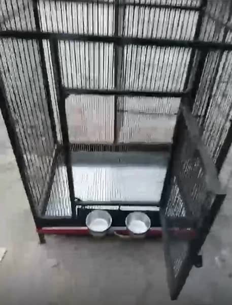 parrot cage 1