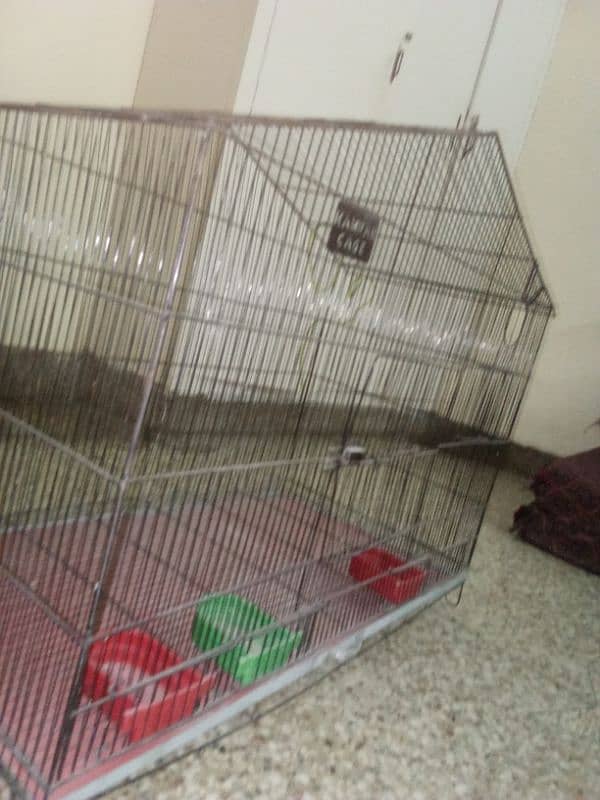 New Big Size Cage For Sale 2