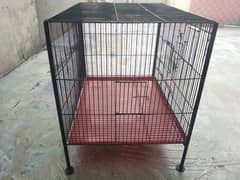 birds cage