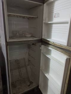 pell company fridge